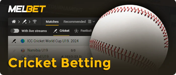 Cricket betting at Melbet