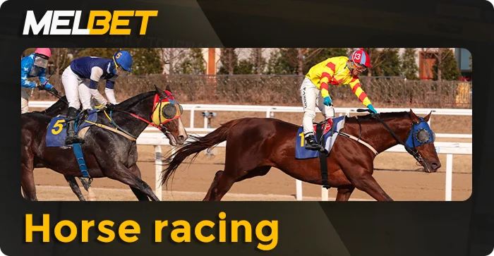 Bet on Horse Racing at Melbet