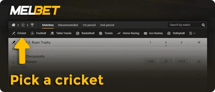 Pick a cricket at Melbet