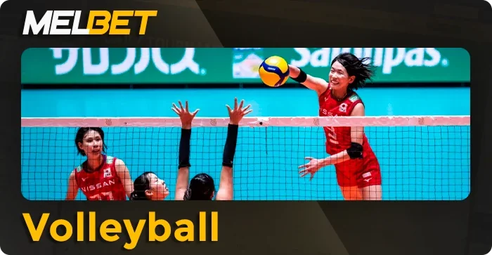 Bet on Volleyball at Melbet